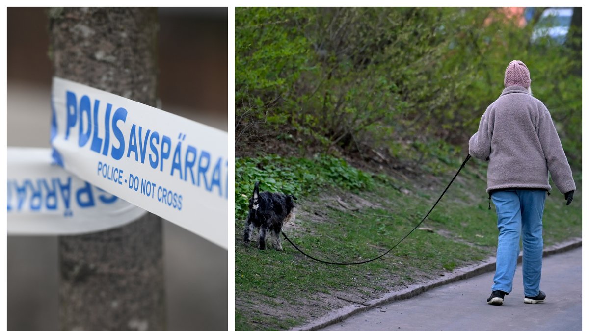 En kvinna och hennes hund attackerades i Ystad på lördagen.